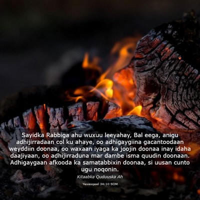 Picture 03 - Yexesqeel 34:10 SOM - Sayidka Rabbiga ahu wuxuu leeyahay, Bal eega, - Bible Verse Picture
