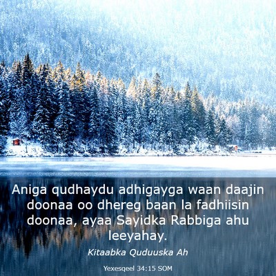 Picture 03 - Yexesqeel 34:15 SOM - Aniga qudhaydu adhigayga waan daajin doonaa oo - Bible Verse Picture