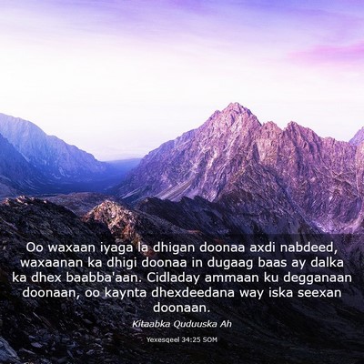 Picture 03 - Yexesqeel 34:25 SOM - Oo waxaan iyaga la dhigan doonaa axdi nabdeed, - Bible Verse Picture