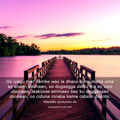 Picture 03 - Yexesqeel 34:28 SOM - Oo iyagu mar dambe wax la dhaco quruumaha uma ay - Bible Verse Picture