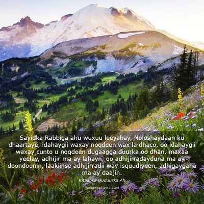 Picture 03 - Yexesqeel 34:8 SOM - Sayidka Rabbiga ahu wuxuu leeyahay, Noloshaydaan - Bible Verse Picture