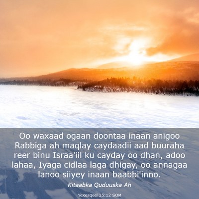 Picture 03 - Yexesqeel 35:12 SOM - Oo waxaad ogaan doontaa inaan anigoo Rabbiga ah - Bible Verse Picture