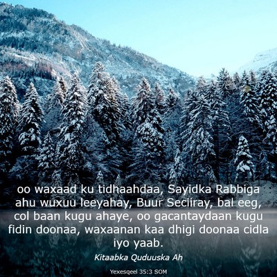 Picture 03 - Yexesqeel 35:3 SOM - oo waxaad ku tidhaahdaa, Sayidka Rabbiga ahu - Bible Verse Picture