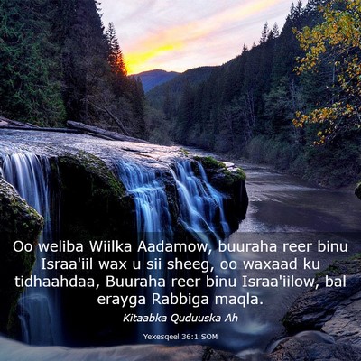 Picture 03 - Yexesqeel 36:1 SOM - Oo weliba Wiilka Aadamow, buuraha reer binu - Bible Verse Picture