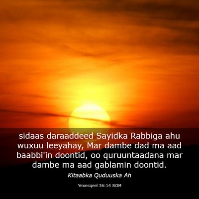 Picture 03 - Yexesqeel 36:14 SOM - sidaas daraaddeed Sayidka Rabbiga ahu wuxuu - Bible Verse Picture