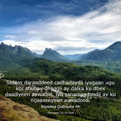 Picture 03 - Yexesqeel 36:18 SOM - Sidaas daraaddeed cadhadaydii iyagaan ugu kor - Bible Verse Picture