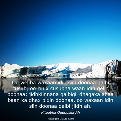 Picture 03 - Yexesqeel 36:26 SOM - Oo weliba waxaan idin siin doonaa qalbi cusub, oo - Bible Verse Picture