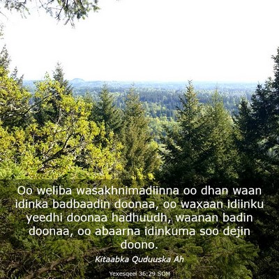 Picture 03 - Yexesqeel 36:29 SOM - Oo weliba wasakhnimadiinna oo dhan waan idinka - Bible Verse Picture