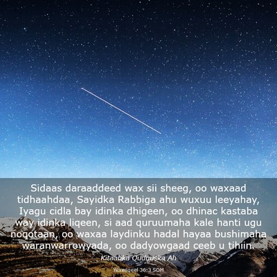 Picture 03 - Yexesqeel 36:3 SOM - Sidaas daraaddeed wax sii sheeg, oo waxaad - Bible Verse Picture