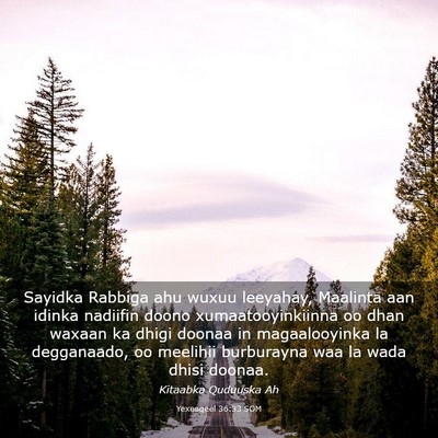 Picture 03 - Yexesqeel 36:33 SOM - Sayidka Rabbiga ahu wuxuu leeyahay, Maalinta aan - Bible Verse Picture