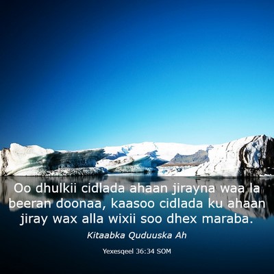 Picture 03 - Yexesqeel 36:34 SOM - Oo dhulkii cidlada ahaan jirayna waa la beeran - Bible Verse Picture