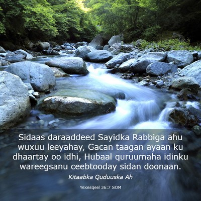 Picture 03 - Yexesqeel 36:7 SOM - Sidaas daraaddeed Sayidka Rabbiga ahu wuxuu - Bible Verse Picture