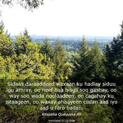 Picture 03 - Yexesqeel 37:10 SOM - Sidaas daraaddeed waxaan ku hadlay siduu igu - Bible Verse Picture