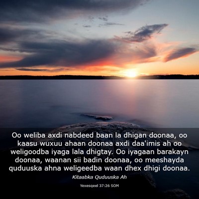 Picture 03 - Yexesqeel 37:26 SOM - Oo weliba axdi nabdeed baan la dhigan doonaa, oo - Bible Verse Picture