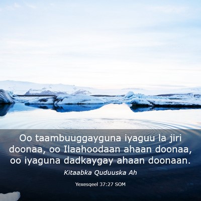 Picture 03 - Yexesqeel 37:27 SOM - Oo taambuuggayguna iyaguu la jiri doonaa, oo - Bible Verse Picture