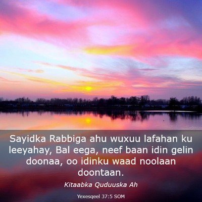 Picture 03 - Yexesqeel 37:5 SOM - Sayidka Rabbiga ahu wuxuu lafahan ku leeyahay, - Bible Verse Picture