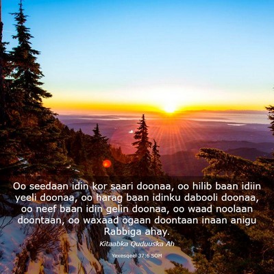 Picture 03 - Yexesqeel 37:6 SOM - Oo seedaan idin kor saari doonaa, oo hilib baan - Bible Verse Picture