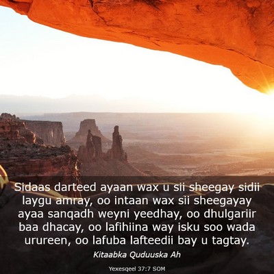Picture 03 - Yexesqeel 37:7 SOM - Sidaas darteed ayaan wax u sii sheegay sidii - Bible Verse Picture