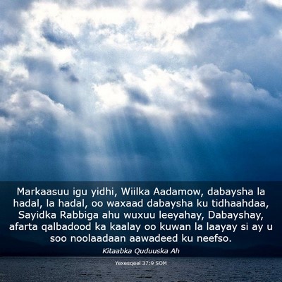 Picture 03 - Yexesqeel 37:9 SOM - Markaasuu igu yidhi, Wiilka Aadamow, dabaysha la - Bible Verse Picture