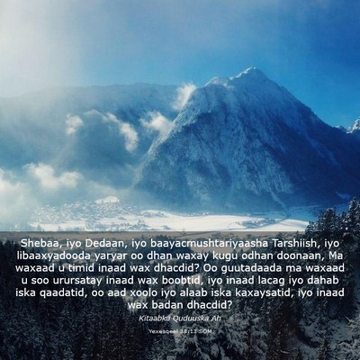 Picture 03 - Yexesqeel 38:13 SOM - Shebaa, iyo Dedaan, iyo baayacmushtariyaasha - Bible Verse Picture