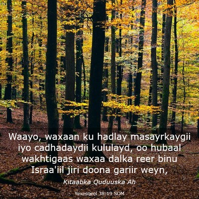 Picture 03 - Yexesqeel 38:19 SOM - Waayo, waxaan ku hadlay masayrkaygii iyo - Bible Verse Picture