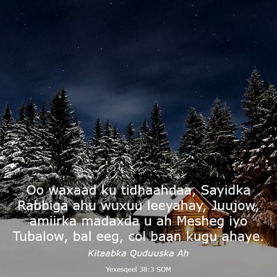 Picture 03 - Yexesqeel 38:3 SOM - Oo waxaad ku tidhaahdaa, Sayidka Rabbiga ahu - Bible Verse Picture