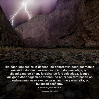 Picture 03 - Yexesqeel 38:4 SOM - Dib baan kuu soo celin doonaa, oo qabatooyin baan - Bible Verse Picture