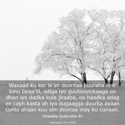 Picture 03 - Yexesqeel 39:4 SOM - Waxaad ku kor le'an doontaa buuraha reer binu - Bible Verse Picture