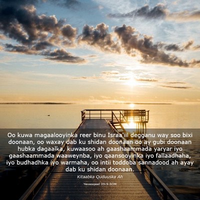 Picture 03 - Yexesqeel 39:9 SOM - Oo kuwa magaalooyinka reer binu Israa'iil degganu - Bible Verse Picture