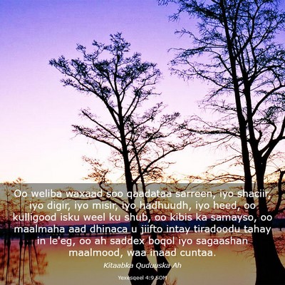 Picture 03 - Yexesqeel 4:9 SOM - Oo weliba waxaad soo qaadataa sarreen, iyo - Bible Verse Picture