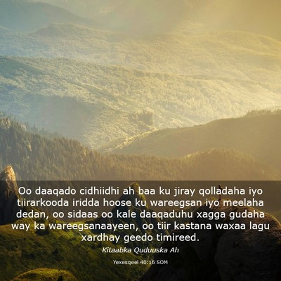 Picture 03 - Yexesqeel 40:16 SOM - Oo daaqado cidhiidhi ah baa ku jiray qolladaha - Bible Verse Picture