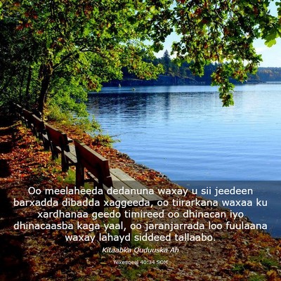 Picture 03 - Yexesqeel 40:34 SOM - Oo meelaheeda dedanuna waxay u sii jeedeen - Bible Verse Picture