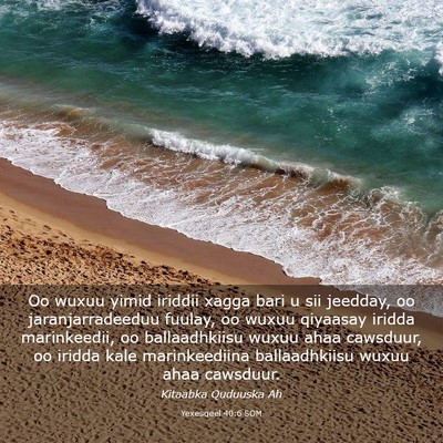 Picture 03 - Yexesqeel 40:6 SOM - Oo wuxuu yimid iriddii xagga bari u sii jeedday, - Bible Verse Picture