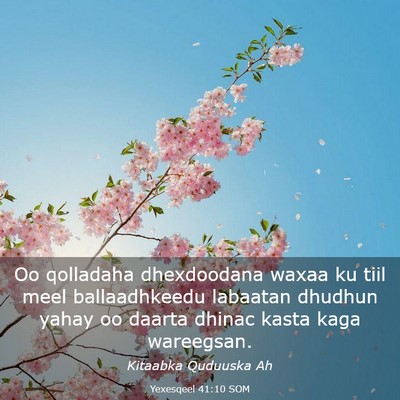 Picture 03 - Yexesqeel 41:10 SOM - Oo qolladaha dhexdoodana waxaa ku tiil meel - Bible Verse Picture