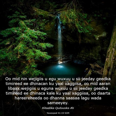 Picture 03 - Yexesqeel 41:19 SOM - Oo mid nin wejigiis u egu wuxuu u sii jeeday - Bible Verse Picture