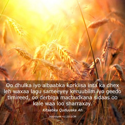 Picture 03 - Yexesqeel 41:20 SOM - Oo dhulka iyo albaabka korkiisa inta ka dhex leh - Bible Verse Picture