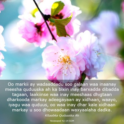 Picture 03 - Yexesqeel 42:14 SOM - Oo markii ay wadaaddadu soo galaan waa inaanay - Bible Verse Picture
