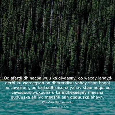 Picture 03 - Yexesqeel 42:20 SOM - Oo afartii dhinacba wuu ka qiyaasay, oo waxay - Bible Verse Picture
