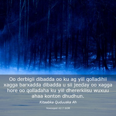 Picture 03 - Yexesqeel 42:7 SOM - Oo derbigii dibadda oo ku ag yiil qolladihii - Bible Verse Picture