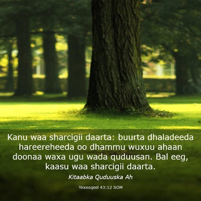 Picture 03 - Yexesqeel 43:12 SOM - Kanu waa sharcigii daarta: buurta dhaladeeda - Bible Verse Picture