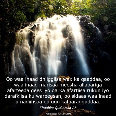 Picture 03 - Yexesqeel 43:20 SOM - Oo waa inaad dhiiggiisa wax ka qaaddaa, oo waa - Bible Verse Picture