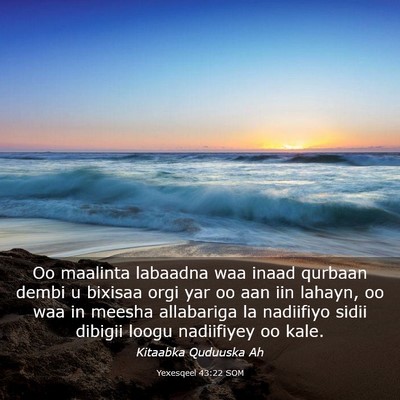 Picture 03 - Yexesqeel 43:22 SOM - Oo maalinta labaadna waa inaad qurbaan dembi u - Bible Verse Picture