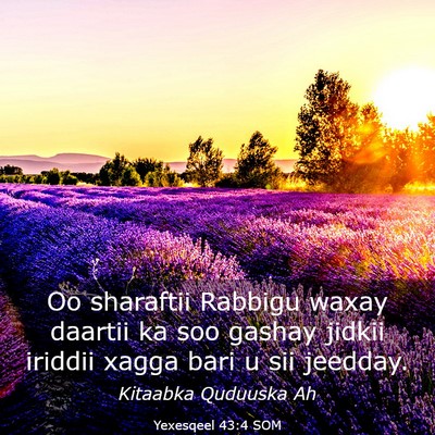 Picture 03 - Yexesqeel 43:4 SOM - Oo sharaftii Rabbigu waxay daartii ka soo gashay - Bible Verse Picture
