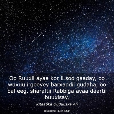 Picture 03 - Yexesqeel 43:5 SOM - Oo Ruuxii ayaa kor ii soo qaaday, oo wuxuu i - Bible Verse Picture