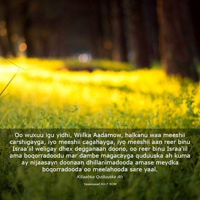 Picture 03 - Yexesqeel 43:7 SOM - Oo wuxuu igu yidhi, Wiilka Aadamow, halkanu waa - Bible Verse Picture