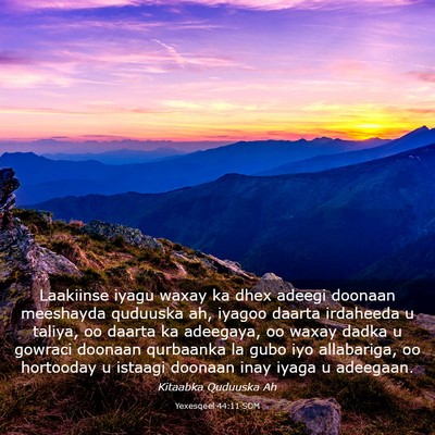 Picture 03 - Yexesqeel 44:11 SOM - Laakiinse iyagu waxay ka dhex adeegi doonaan - Bible Verse Picture