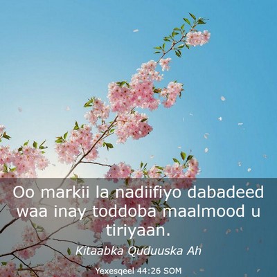 Picture 03 - Yexesqeel 44:26 SOM - Oo markii la nadiifiyo dabadeed waa inay toddoba - Bible Verse Picture