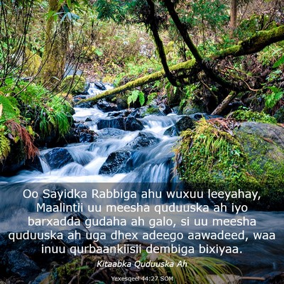 Picture 03 - Yexesqeel 44:27 SOM - Oo Sayidka Rabbiga ahu wuxuu leeyahay, Maalintii - Bible Verse Picture