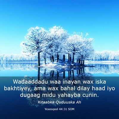 Picture 03 - Yexesqeel 44:31 SOM - Wadaaddadu waa inayan wax iska bakhtiyey, ama wax - Bible Verse Picture