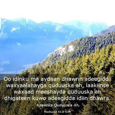 Picture 03 - Yexesqeel 44:8 SOM - Oo idinku ma aydaan dhawrin adeegiddii - Bible Verse Picture